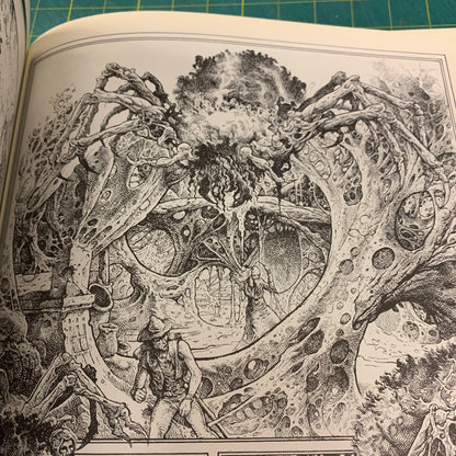 Le Mage Acrylic — Bihannic / Druillet