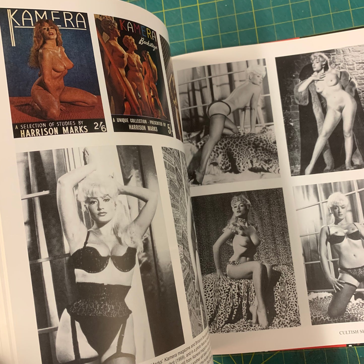 Bizarre Sinema! Cultish Shocking Horrors 1950s-1960s