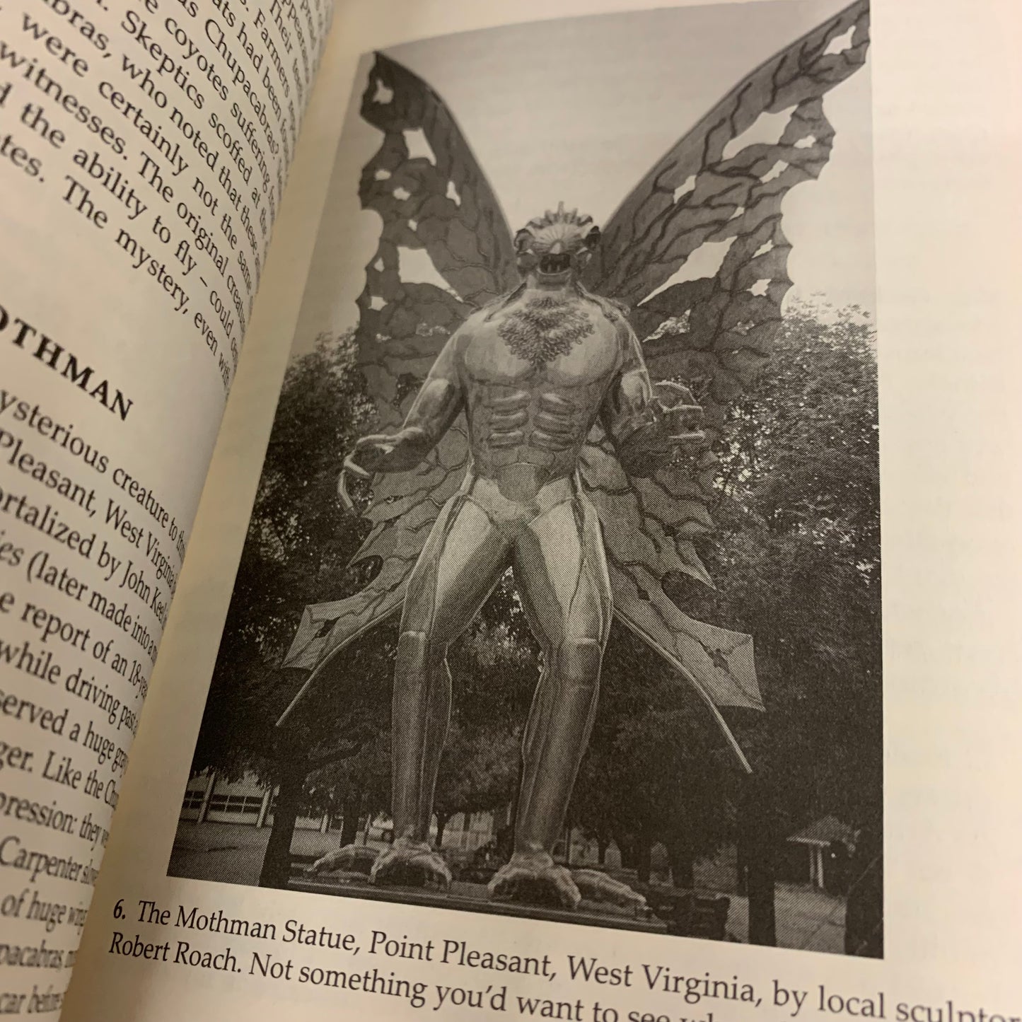 Weird Science and Bizarre Beliefs