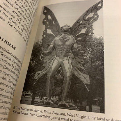 Weird Science and Bizarre Beliefs