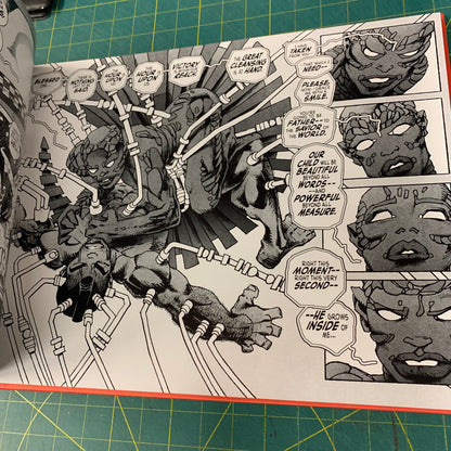 Frank Miller’s Ronin Rising - Collector’s Edition