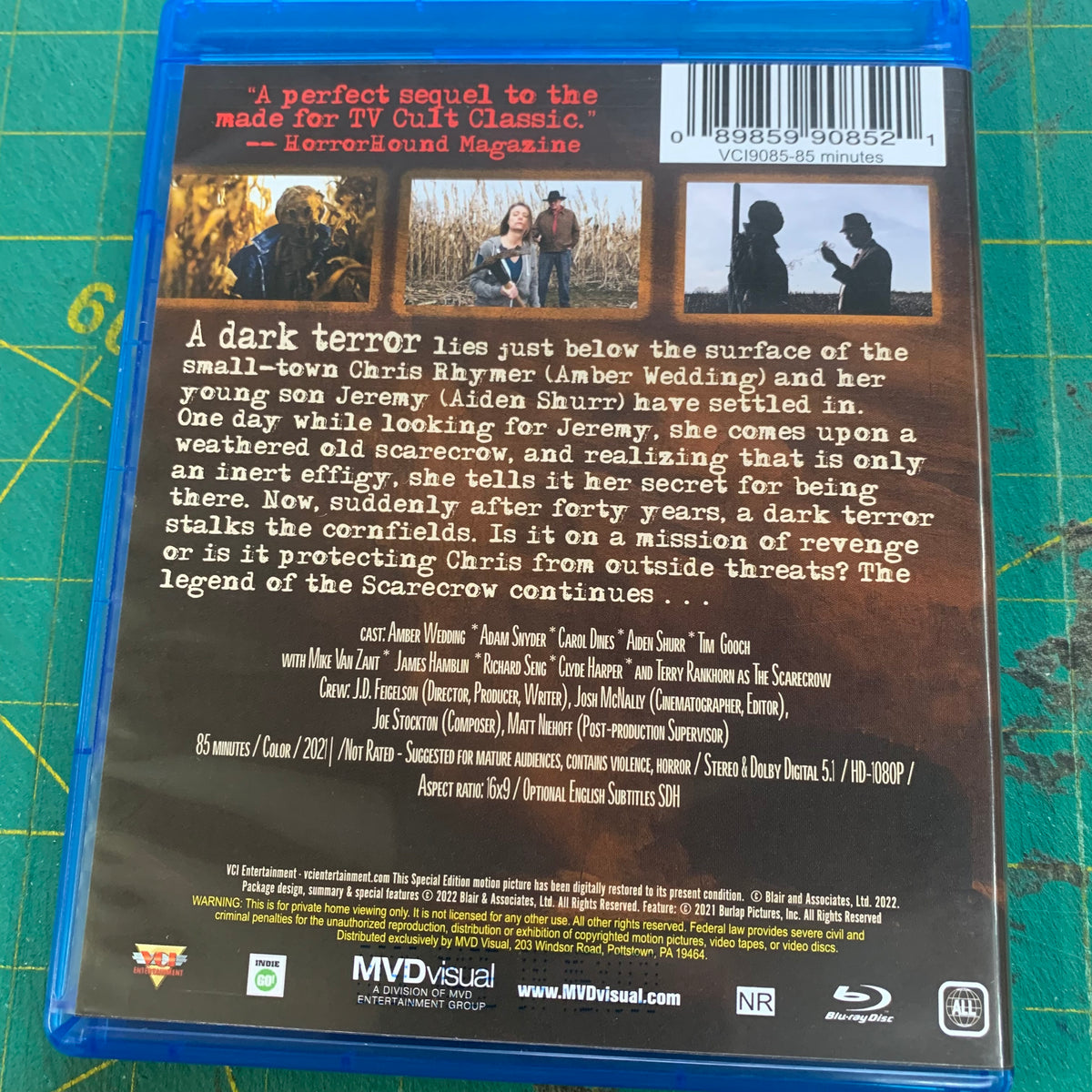 Dark Night of the Scarecrow 2