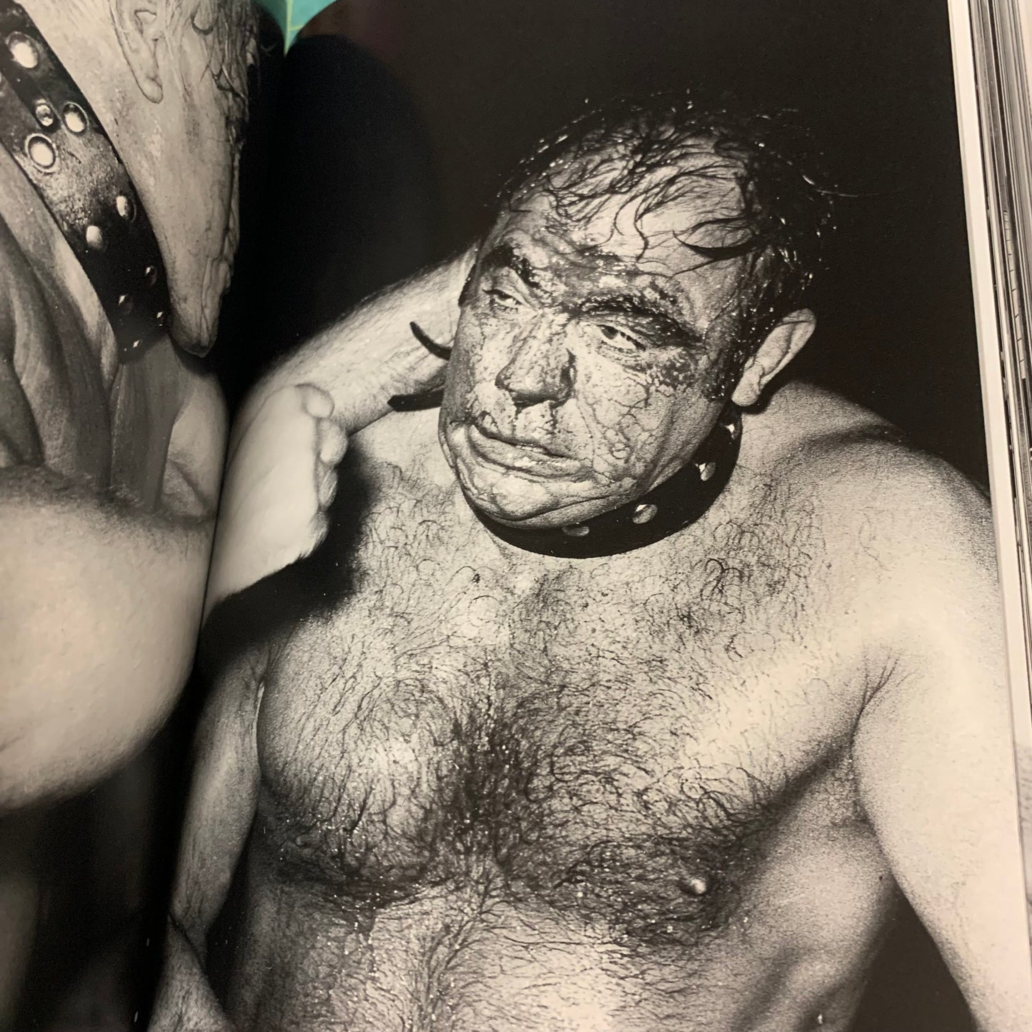 Exquisite Mayhem — The Erotic World of Wrestling
