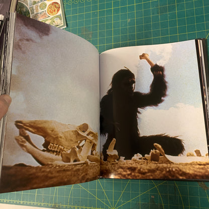 Stanley Kubrick — The complete films