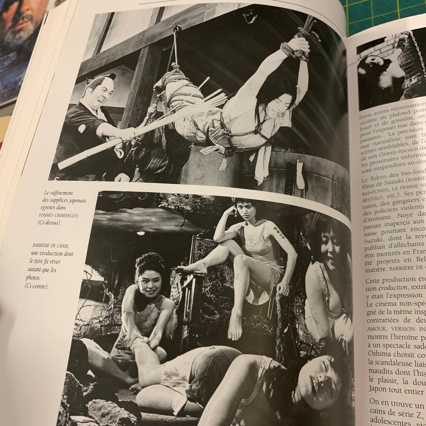 Érotisme et Cinéma