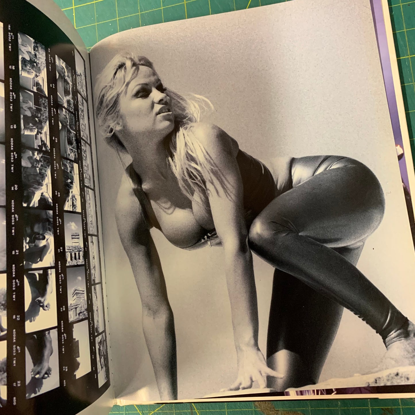 Pamela Anderson (Newlook France)