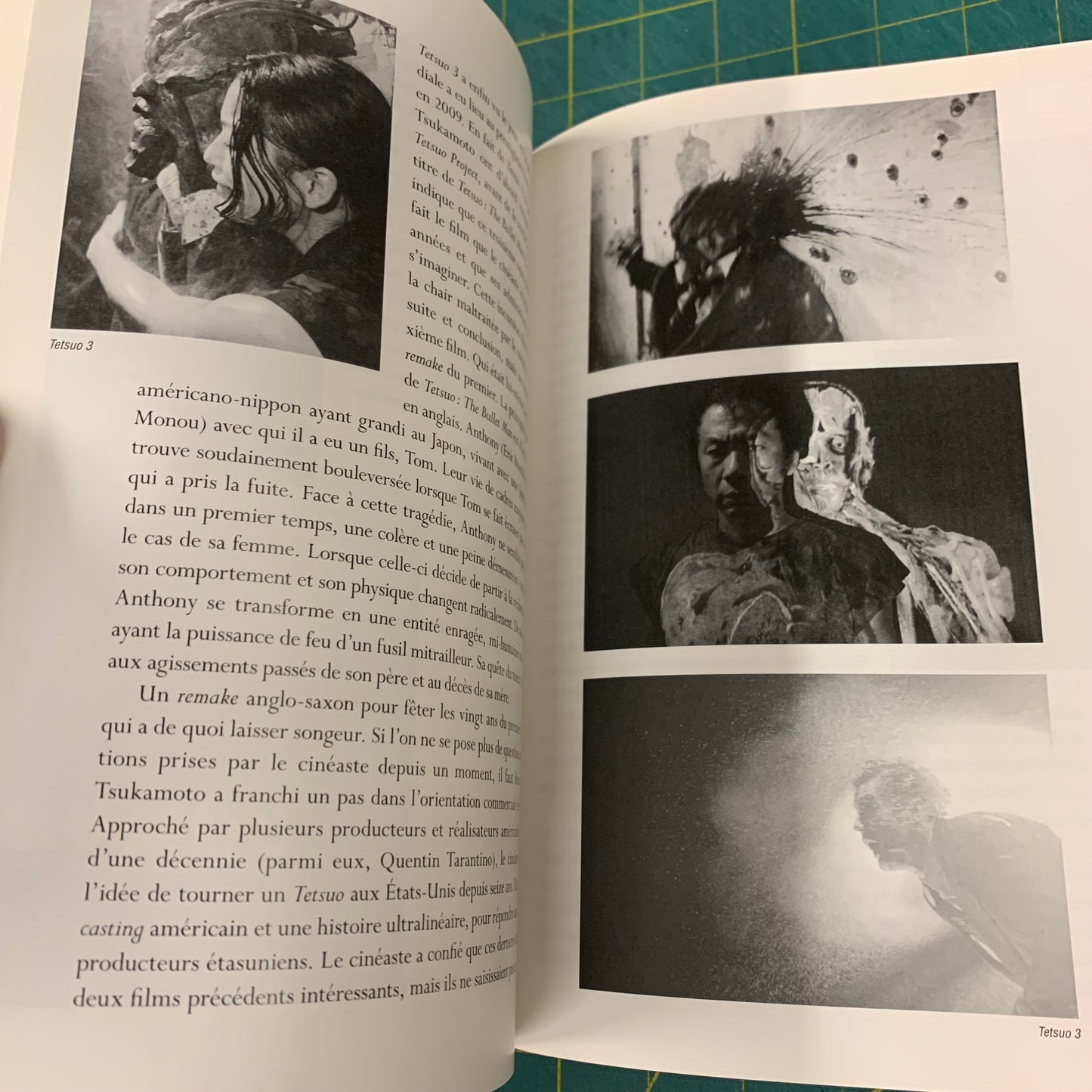 Le Cinéma Enragé au Japon