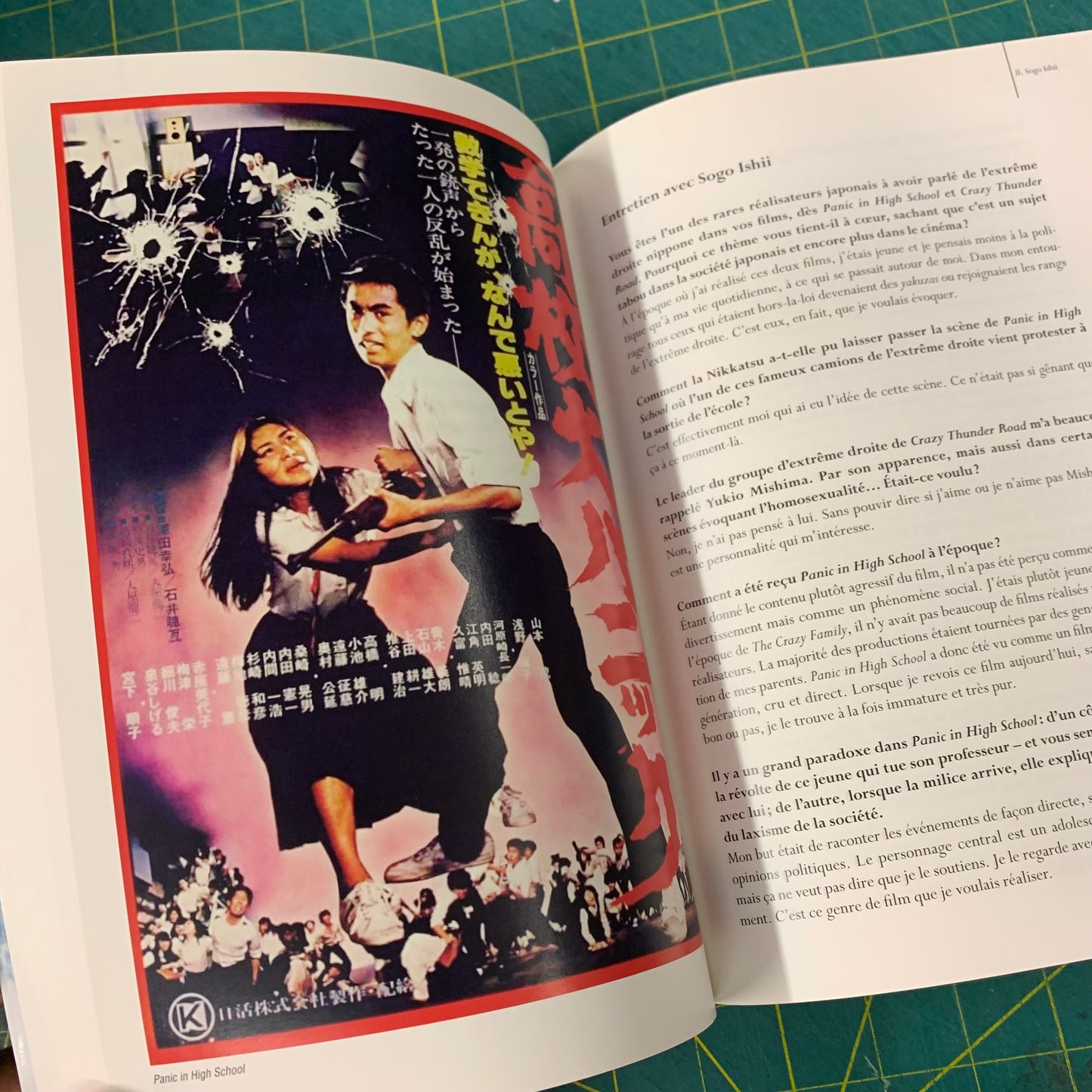 Le Cinéma Enragé au Japon
