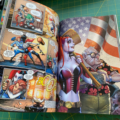 Harley Quinn Vol. 1: Hot in the City (The New 52)
