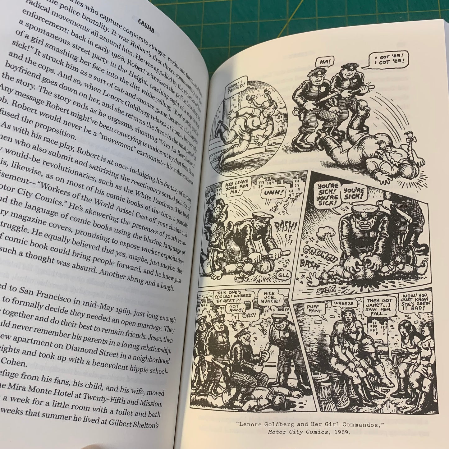 Crumb: A Cartoonist's Life