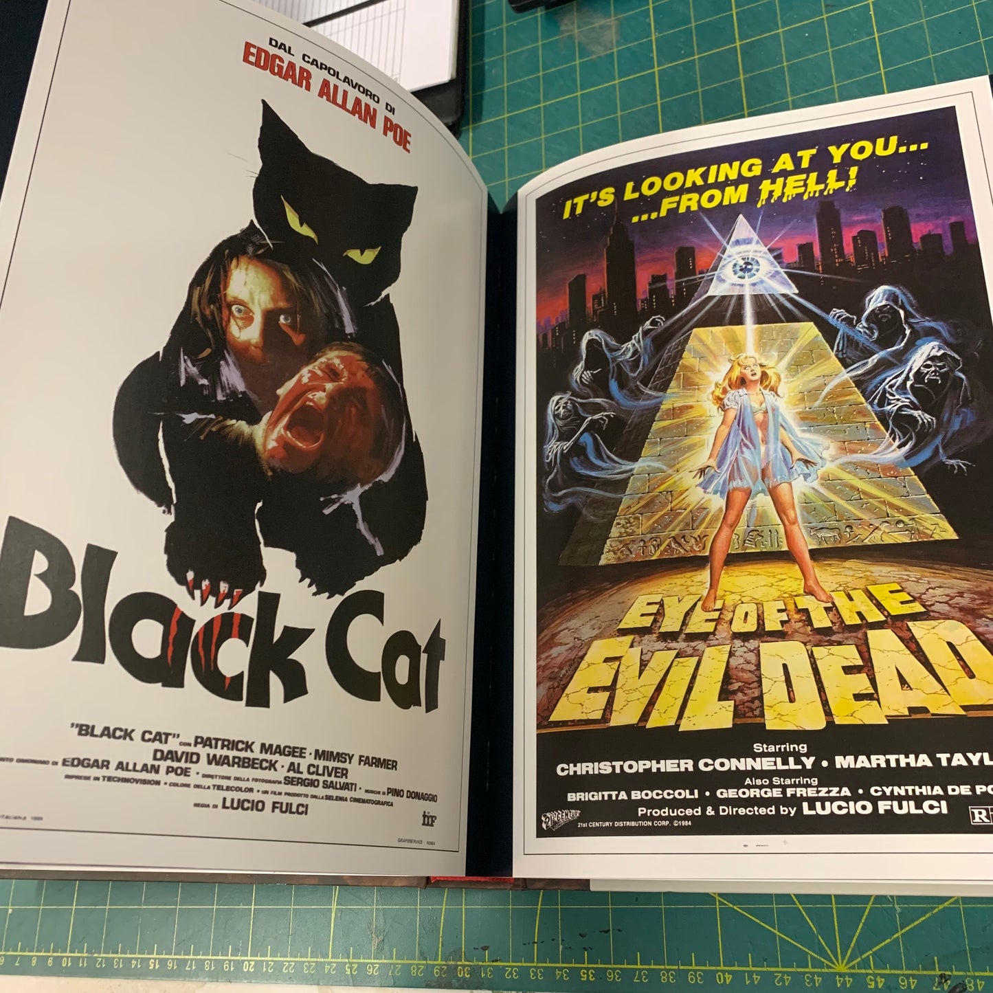 Beyond Terror: The Films of Lucio Fulci