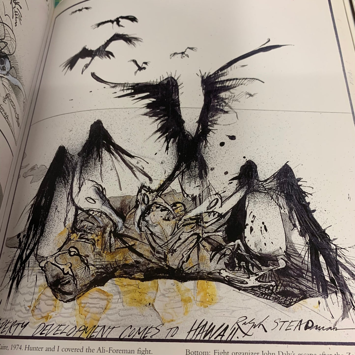 Gonzo The Art — Ralph Steadman