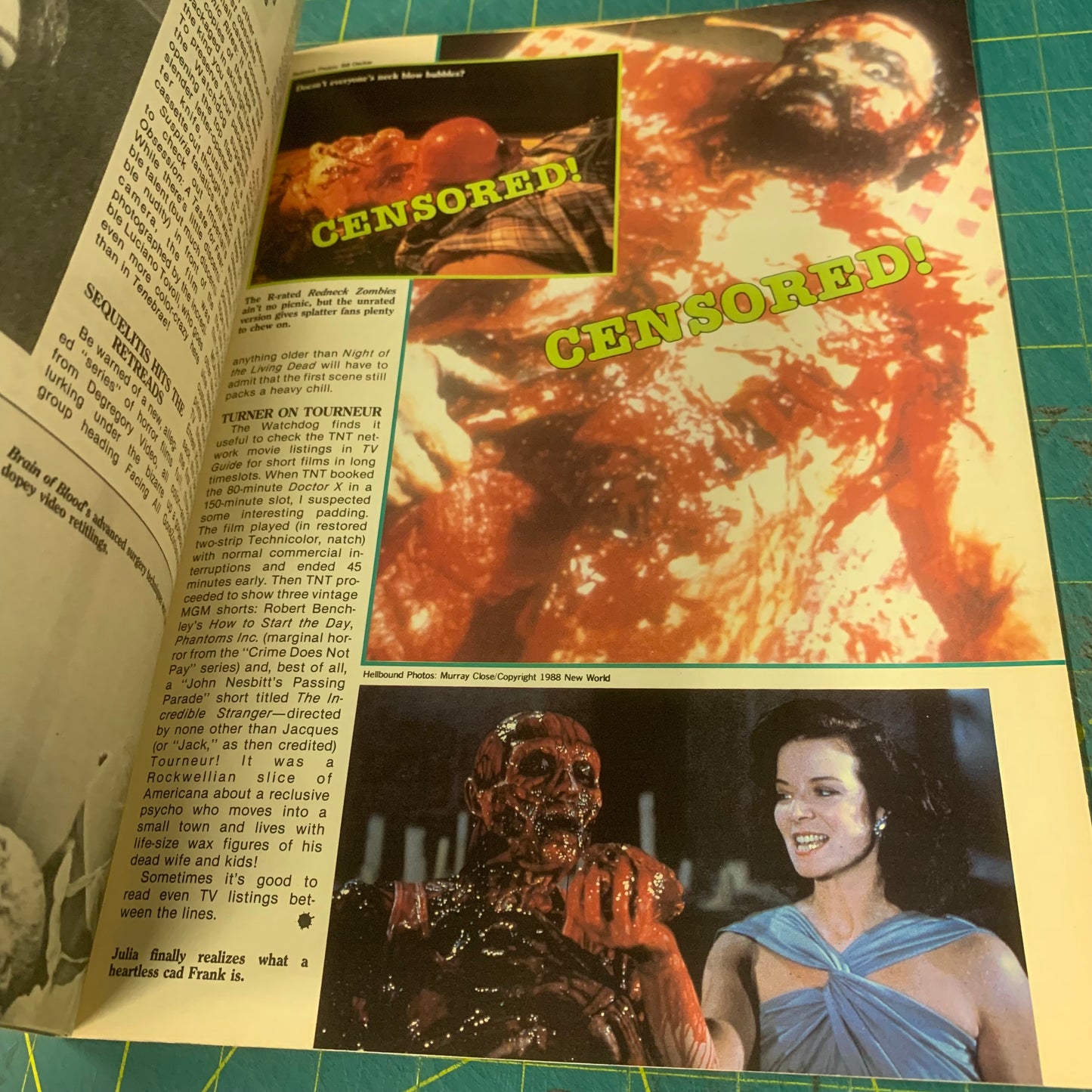 GoreZone no. 9