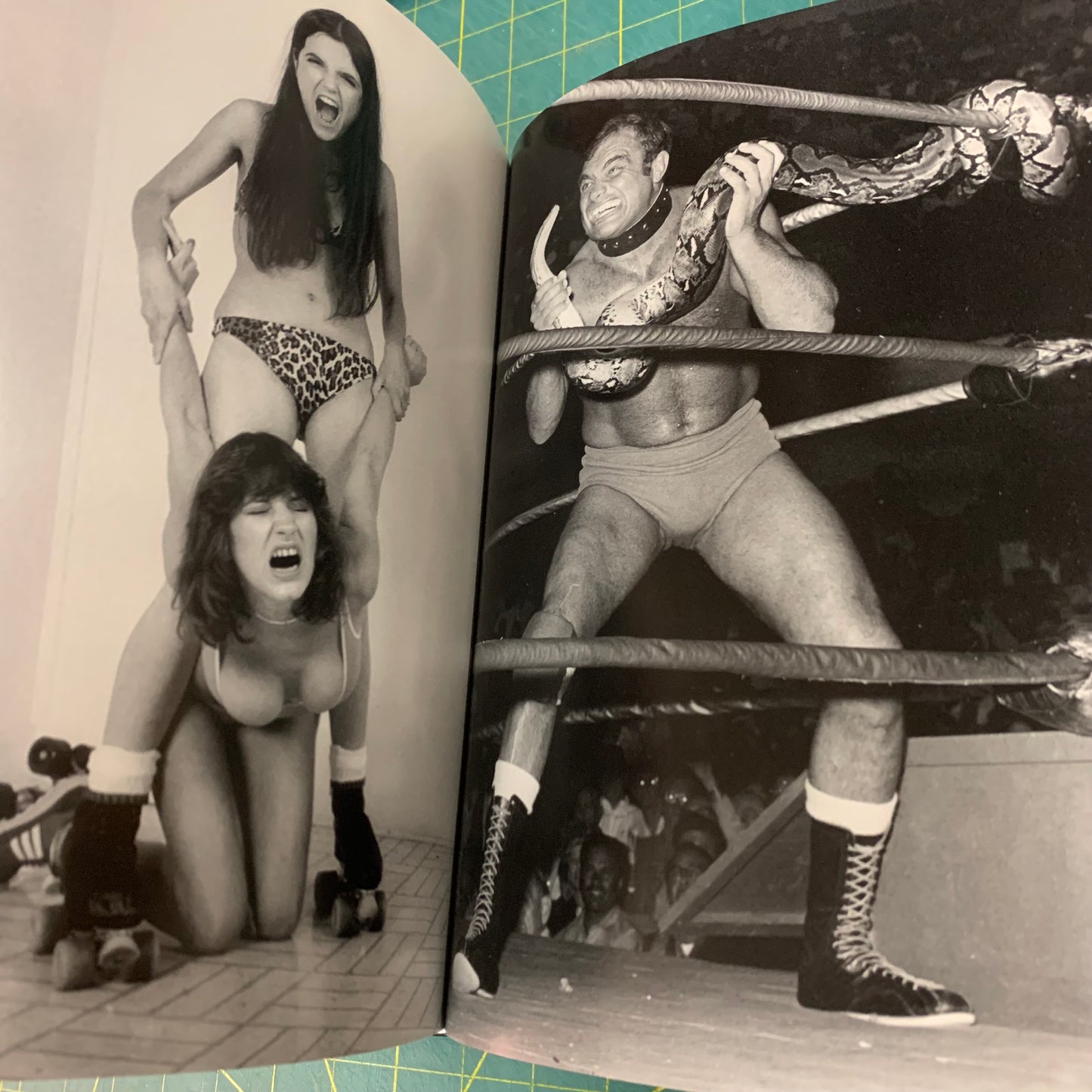 Exquisite Mayhem — The Erotic World of Wrestling