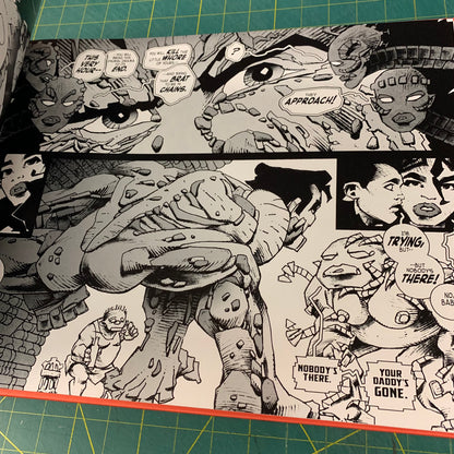 Frank Miller’s Ronin Rising - Collector’s Edition