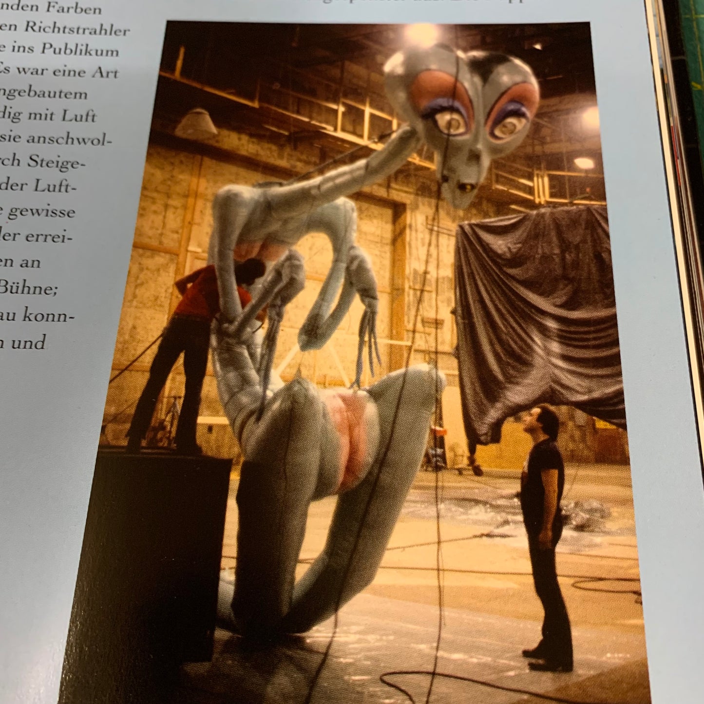 The Making of Pink Floyd The Wall (German ed.)