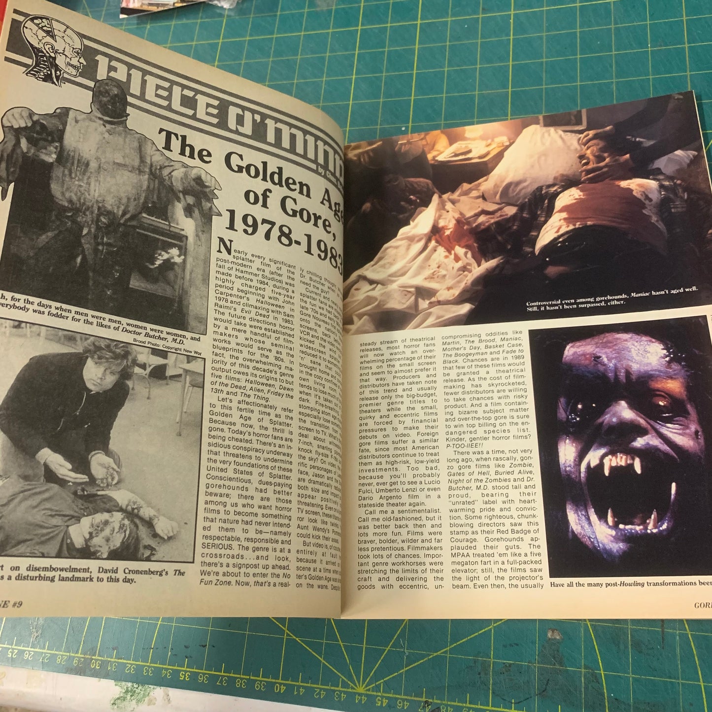 GoreZone no. 9