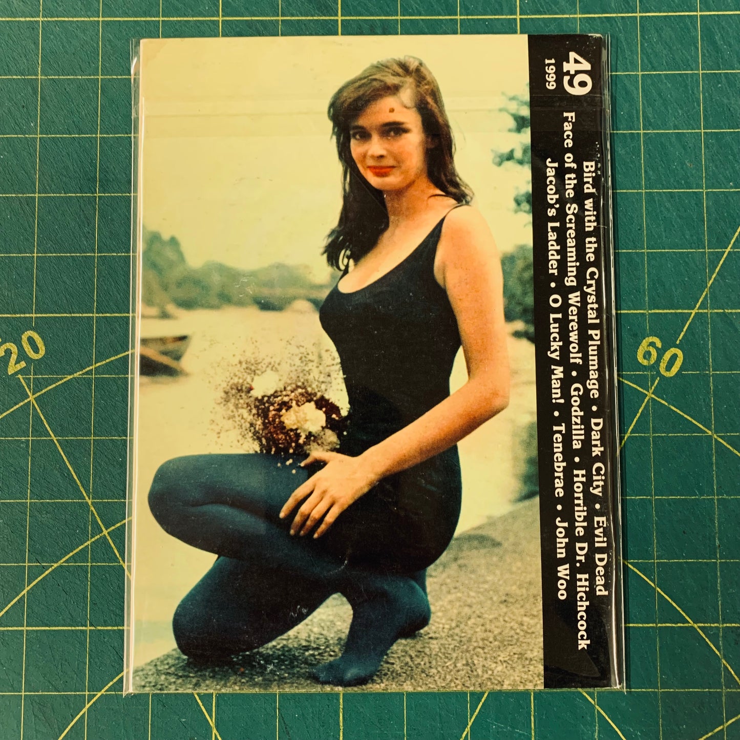 Video Watchdog - No. 49