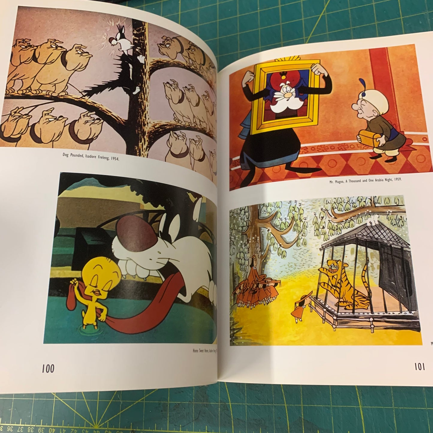 Ces dessins qui bougent: 1892-1992, cent ans de cinéma d'animation
