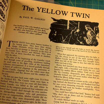 The Pulps - Fifty Years of American Pop Culture
