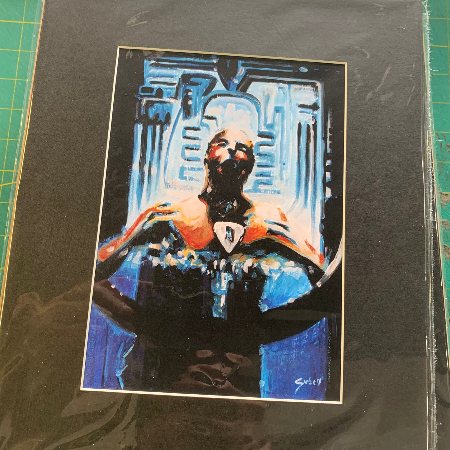 Lot de 10 prints 8X10" (Série 4)