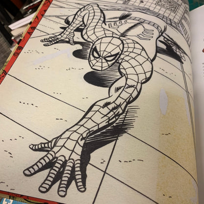 The Art of the Amazing Spider-Man