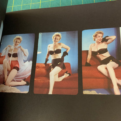 Gil Elvgren's Private Stock