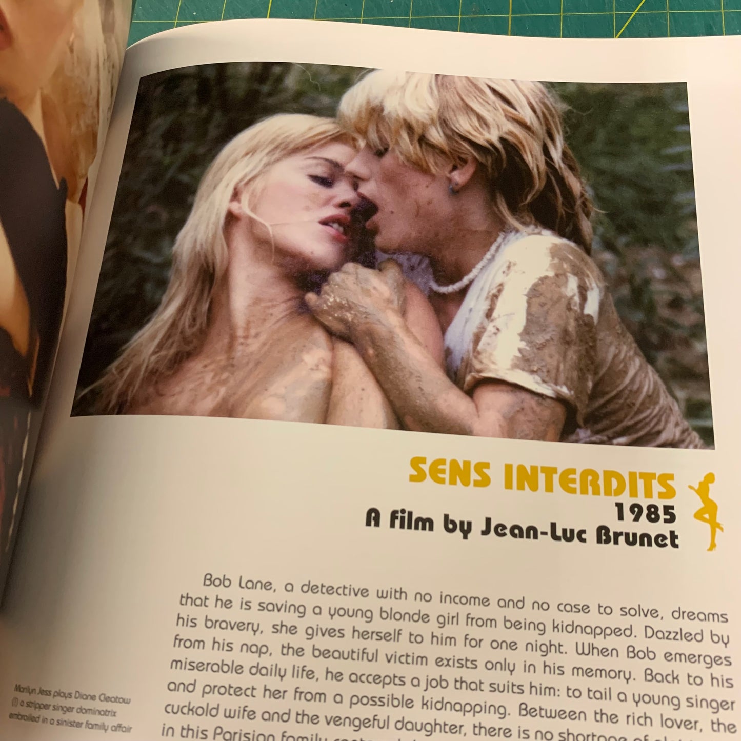 The Cult Films of Marilyn Jess