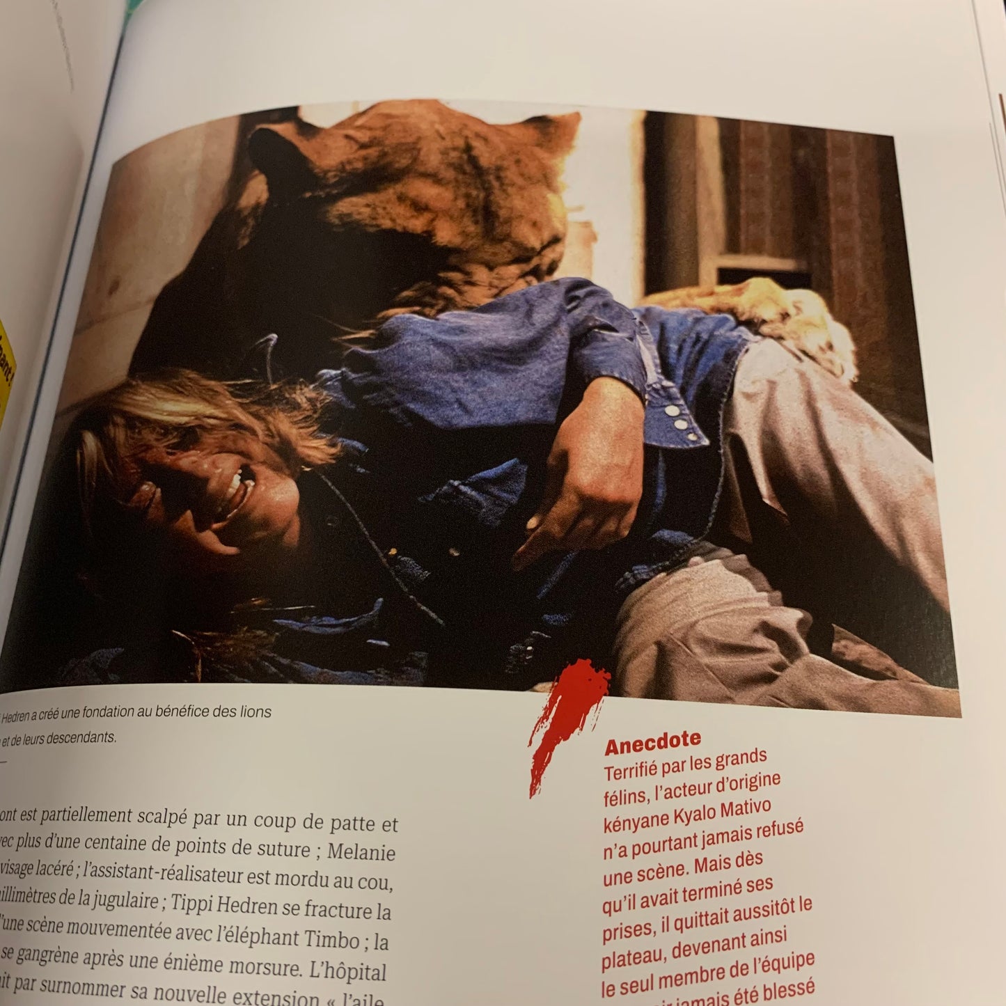 Les Animaux Attaquent (Mad Movies Hors Série)