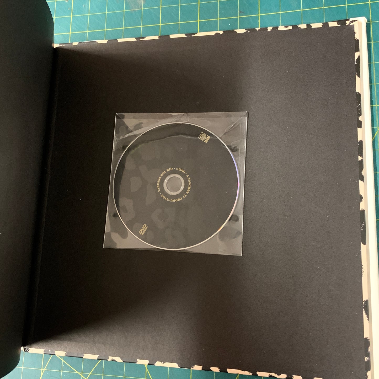 Vanessa del Rio - Fifty years of slightly slutty behavior (Incl. DVD)