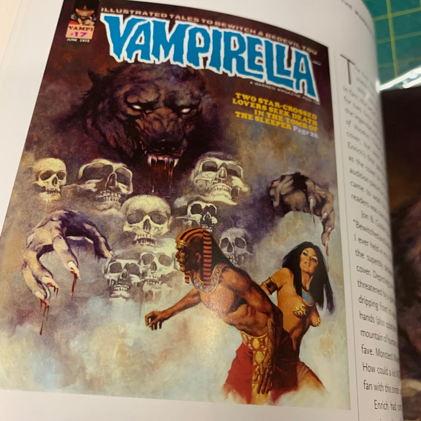 The Art of Vampirella - The Warren Years