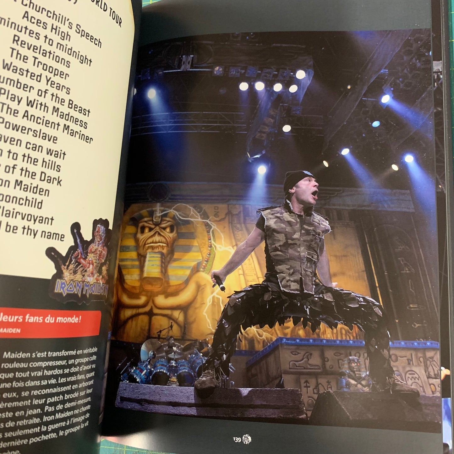 Iron Maiden Up The Irons — Ed. Française