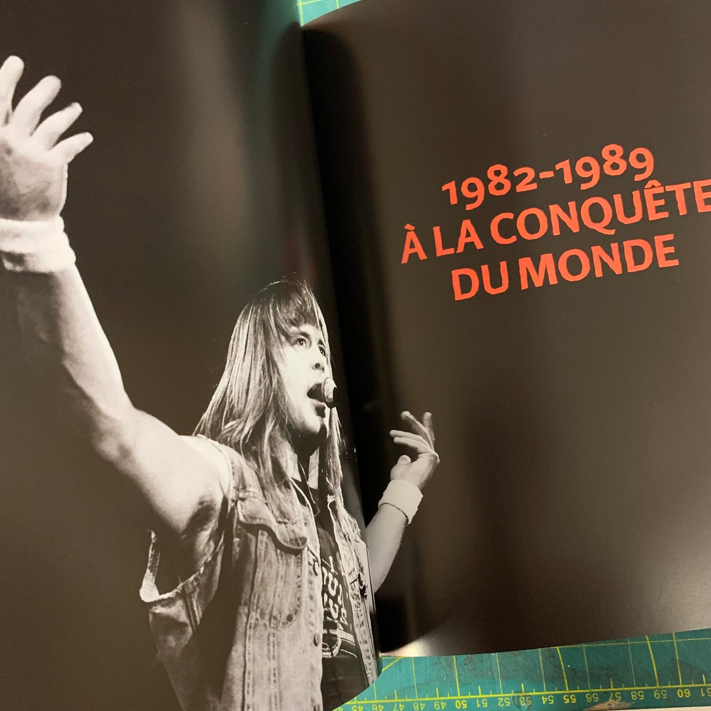Iron Maiden Up The Irons — Ed. Française