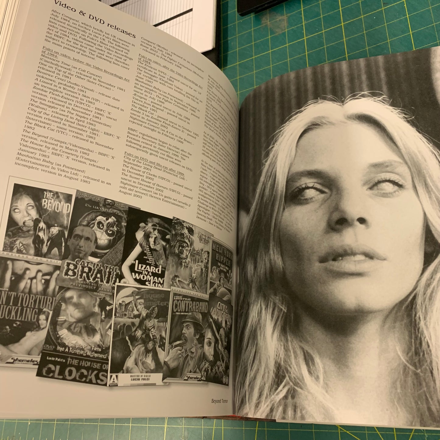 Beyond Terror: The Films of Lucio Fulci