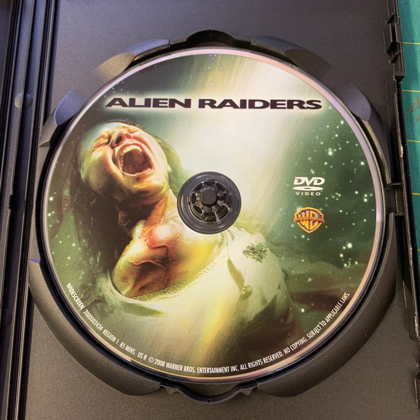 Alien Raiders