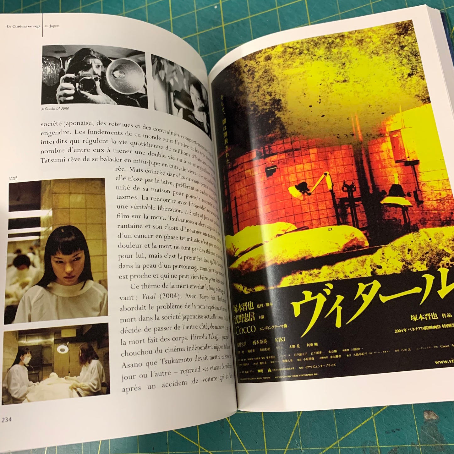 Le Cinéma Enragé au Japon