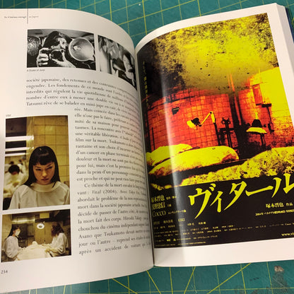 Le Cinéma Enragé au Japon