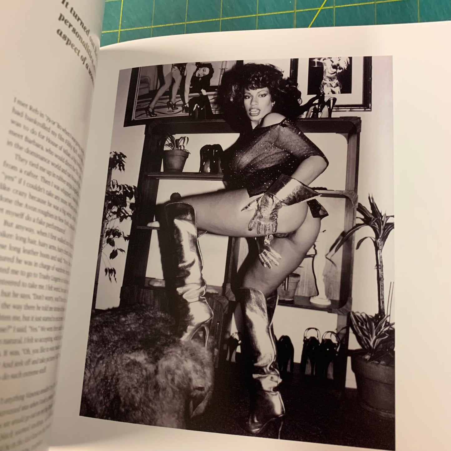 Vanessa del Rio - Fifty years of slightly slutty behavior (Slipcase/DVD)