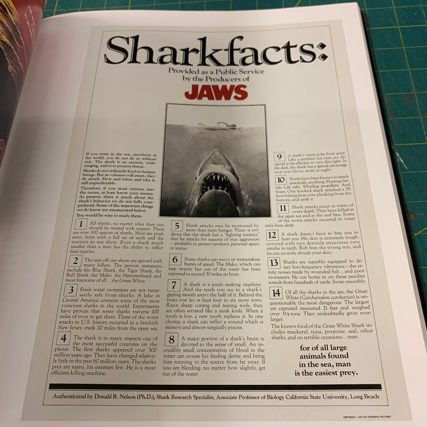 Film Posters — Horror