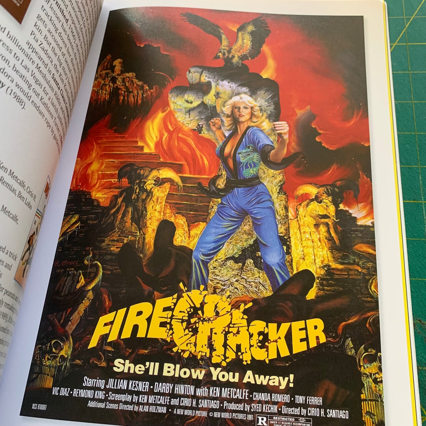 FrightFest Guide vol. 1 (Exploitation Movies)