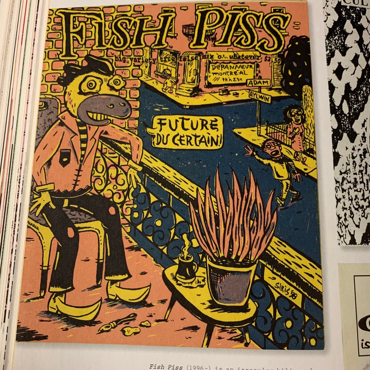 Fanzines — The DIY Revolution