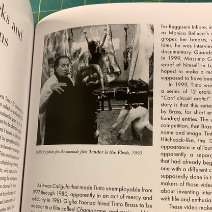 The films of Tinto Brass