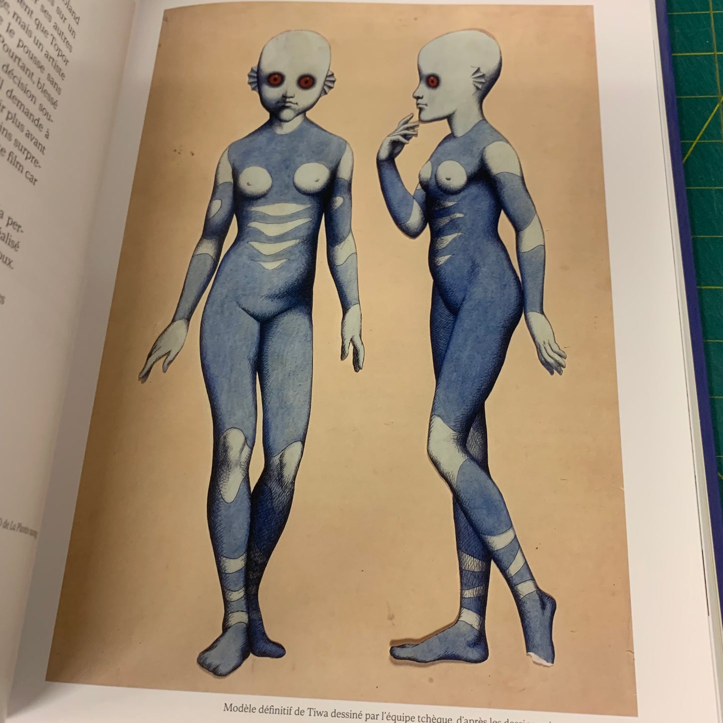 L'Odyssée de La Planète Sauvage