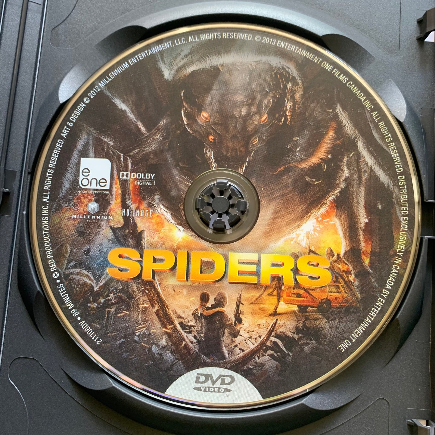 Spiders
