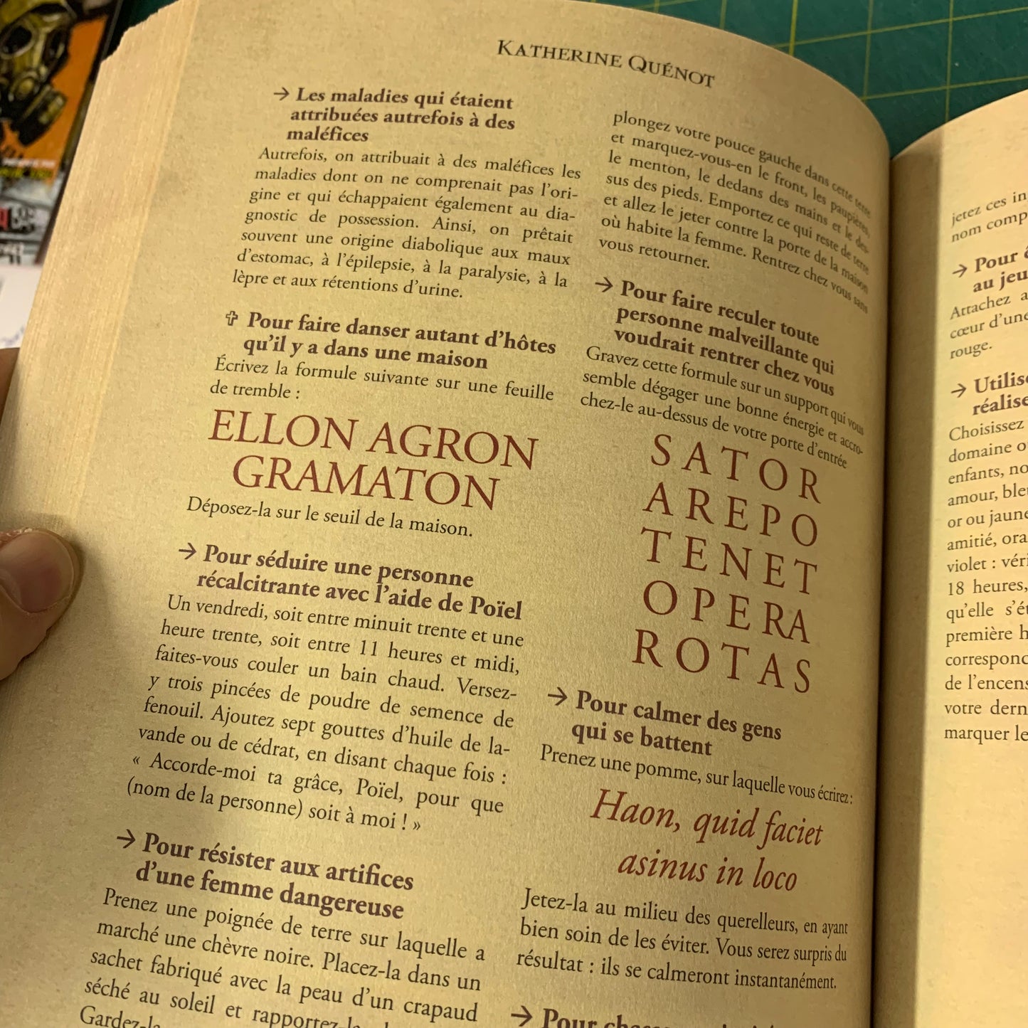 Le Livre Noir de la Sorcière