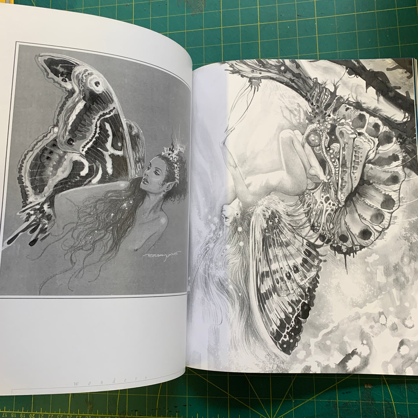 Esteban Maroto - Wonders