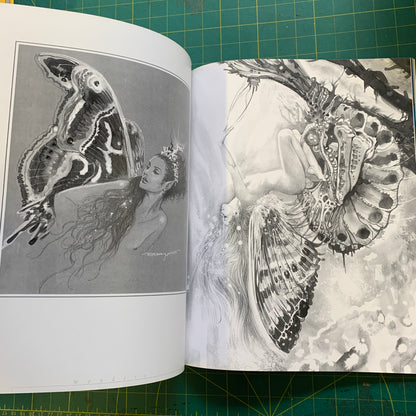 Esteban Maroto - Wonders