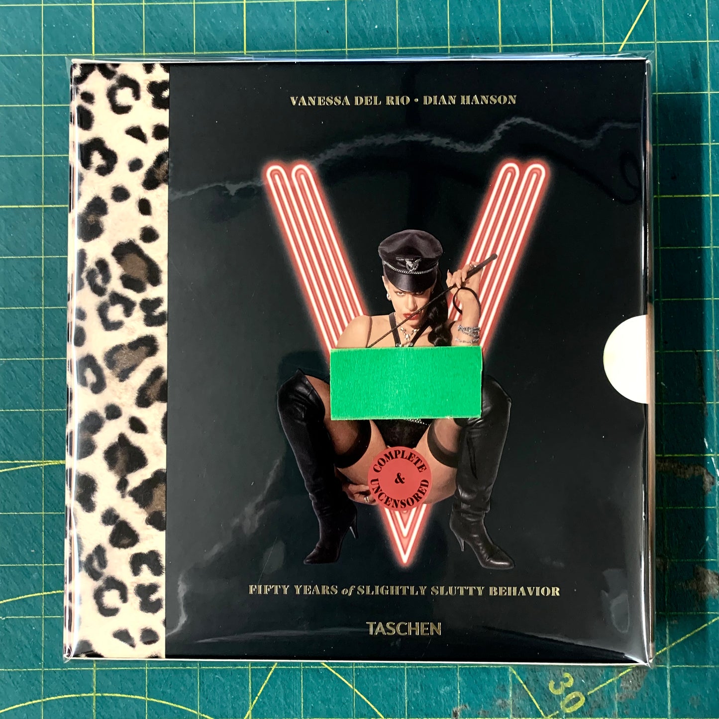 Vanessa del Rio - Fifty years of slightly slutty behavior (Slipcase/DVD)