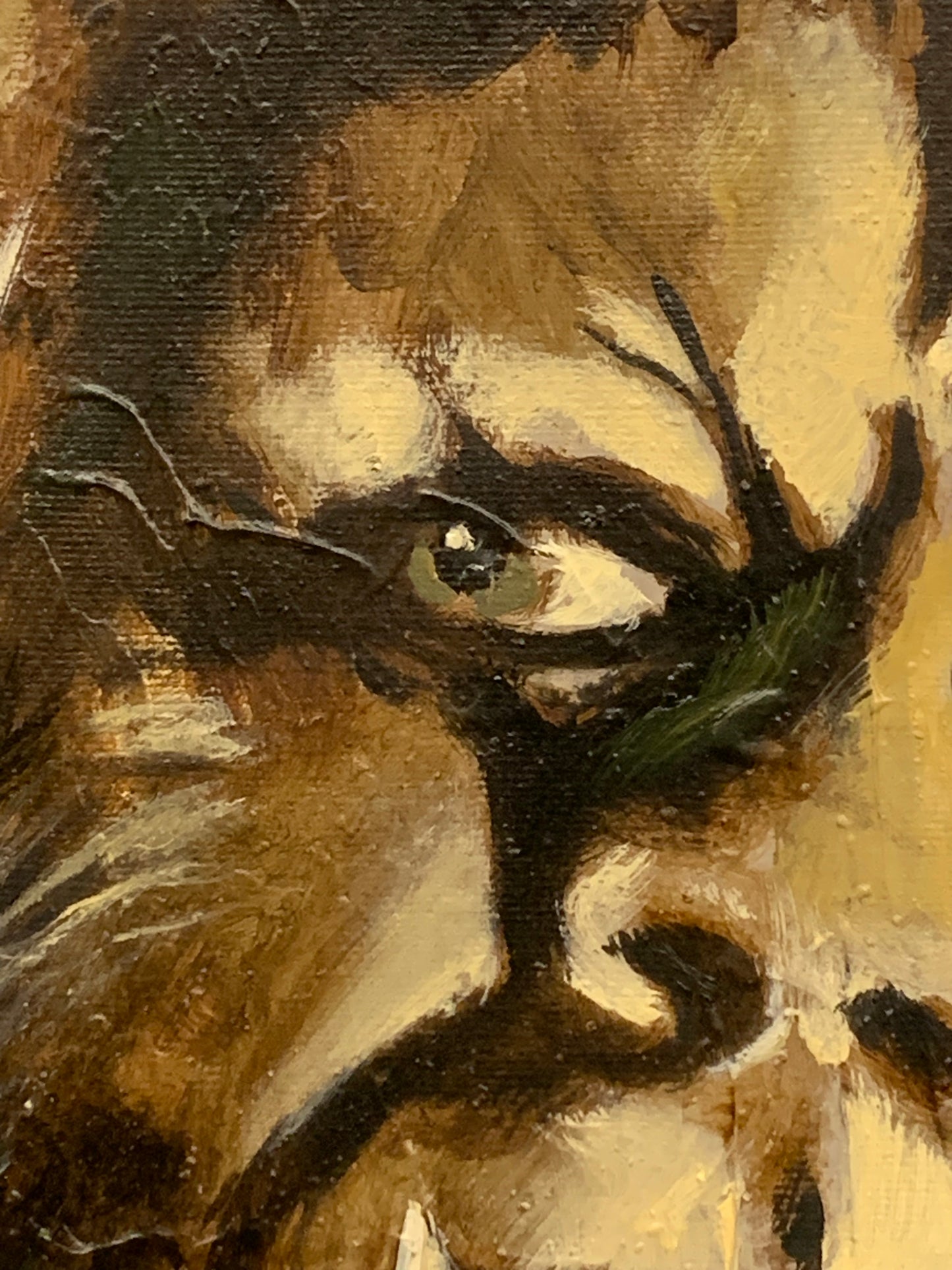 Curse of the Werewolf