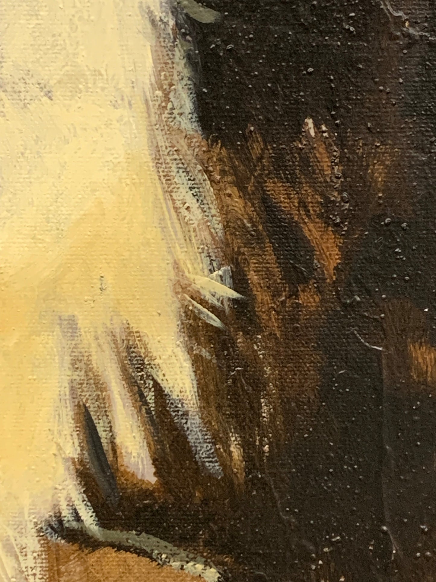 Curse of the Werewolf